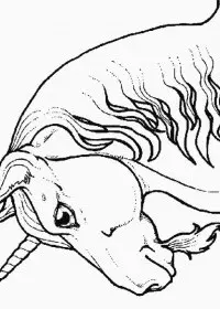 Fisă de colorat cu Animale unicorni de colorat p12