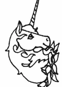 Fisă de colorat cu Animale unicorni de colorat p16