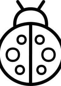 Fișă cu buburuza de colorat p10