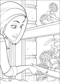 Fisă de colorat cu Bee movie de colorat p13