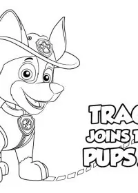 Patrula Cățelușilor de colorat p86