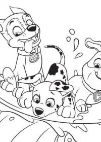 Patrula Cățelușilor de colorat p28