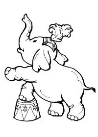 Fisă de colorat cu Circul de colorat p27