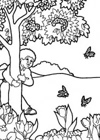 Fisă de colorat cu Copaci de colorat p08