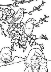 Fisă de colorat cu Copaci de colorat p10