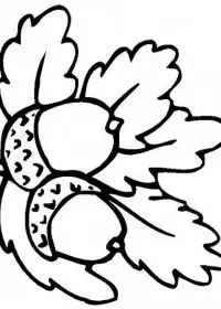 Fisă de colorat cu Copaci de colorat p13