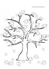 Fisă de colorat cu Copaci de colorat p16