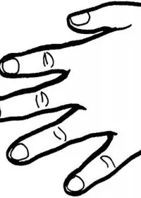 Corpul Uman de colorat