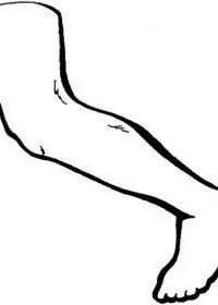 Fisă de colorat cu Corpul uman de colorat p02