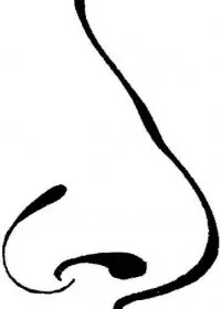 Fisă de colorat cu Corpul uman de colorat p04