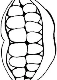 Fisă de colorat cu Corpul uman de colorat p09