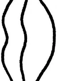 Fisă de colorat cu Corpul uman de colorat p14