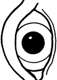 Fisă de colorat cu Corpul uman de colorat p16