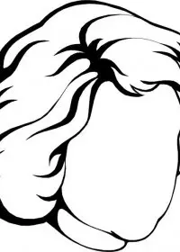 Fisă de colorat cu Corpul uman de colorat p30