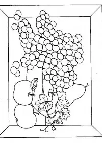 Fisă de colorat cu Cos cu fructe de colorat p08