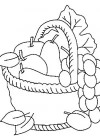 Fisă de colorat cu Cos cu fructe de colorat p14