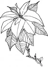 Fisă de colorat cu Craciun decoratiuni de colorat p04