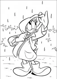 Daisy Duck de colorat