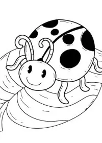 Fișă cu buburuza de colorat p15