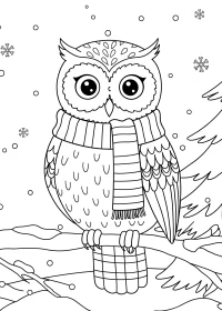 Fișă cu bufniță de colorat p0