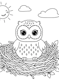 Fișă cu bufniță de colorat p4