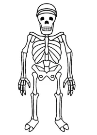 Roblox de colorat p5