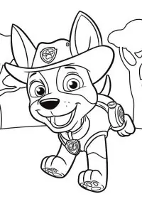 Patrula Cățelușilor de colorat p85