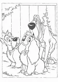 Doamna Si Vagabondul de colorat