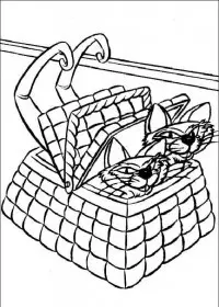 Fisă de colorat cu Doamna si vagabondul de colorat p41