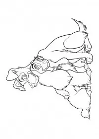 Fisă de colorat cu Doamna si vagabondul de colorat p48