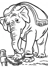 Fisă de colorat cu Dumbo de colorat p08