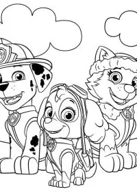 Patrula Cățelușilor de colorat p22