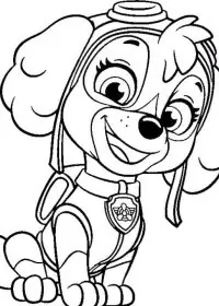 Patrula Cățelușilor de colorat p43