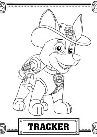 Patrula Cățelușilor de colorat p78