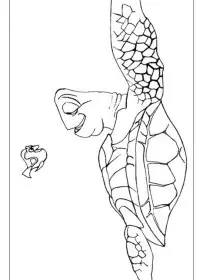 Fisă de colorat cu Finding nemo de colorat p03