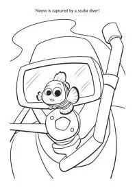 Fisă de colorat cu Finding nemo de colorat p14