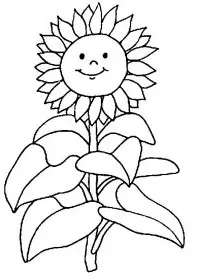 Floarea Soarelui de colorat