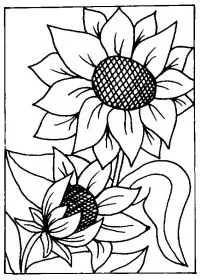 Fisă de colorat cu Floarea soarelui de colorat p09