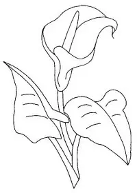 Fisă de colorat cu Flori cale de colorat p02