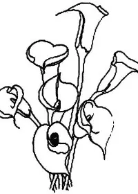 Fisă de colorat cu Flori cale de colorat p03