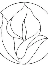 Fisă de colorat cu Flori cale de colorat p04