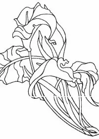 Fisă de colorat cu Flori cale de colorat p06