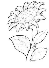 Fisă de colorat cu Flori de colorat p04