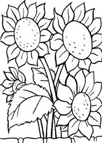 Fisă de colorat cu Flori de colorat p07