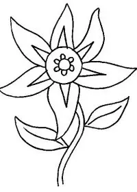 Fisă de colorat cu Flori de colorat p08
