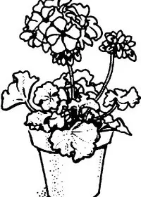 Fisă de colorat cu Flori de colorat p100