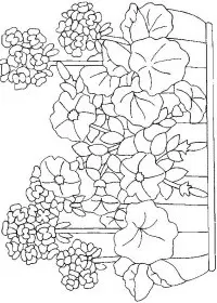 Fisă de colorat cu Flori de colorat p101