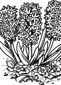 Fisă de colorat cu Flori de colorat p106