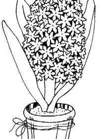 Fisă de colorat cu Flori de colorat p107