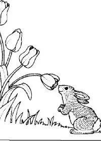 Fisă de colorat cu Flori de colorat p56